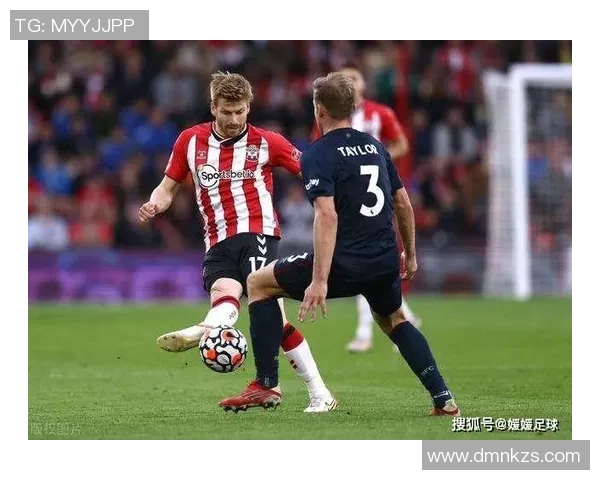 布赖顿与沃特福德近期比赛表现分析及未来展望